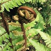 User avatar for Melissa Blackler