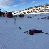 User avatar for Linda Kim