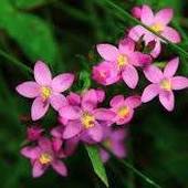 User avatar for Sherry Liu