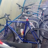 User avatar for Steve Tew