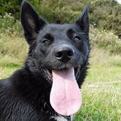 User avatar for Alan Pike