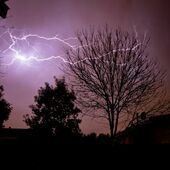 User avatar for Lawrence Teo