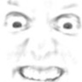 User avatar for Jamie Peckham