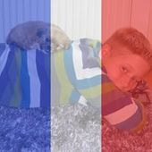 User avatar for Stan Zwarts