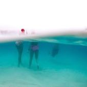 User avatar for Jill Berry