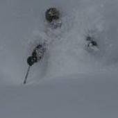 User avatar for Stephen Face