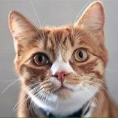 User avatar for Dan Hitchcock