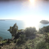 User avatar for Chris Carolan