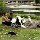 User avatar for Vinícius Guerra