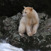 User avatar for Andrea Friar