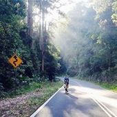 User avatar for Adam Campbell