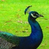 User avatar for Michelle Thomas