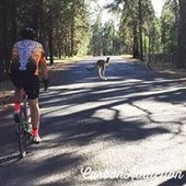 User avatar for Chad Smith