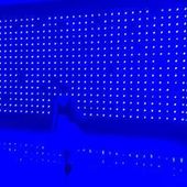 User avatar for Melody Smith