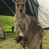 User avatar for Neville Hill