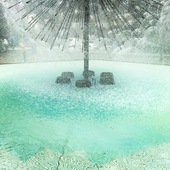 User avatar for Maggie Wojciechowska