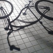 User avatar for David Donald