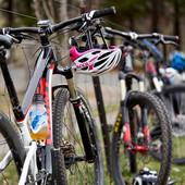 User avatar for Naomi Lee