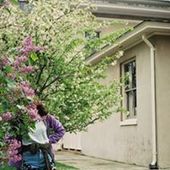 User avatar for Min Yi Tan