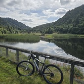 User avatar for Laura Dalby