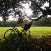 User avatar for Kellie Urquhart