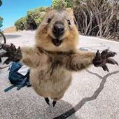 User avatar for Janelle Neill