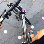 User avatar for Romina Triboli