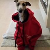 User avatar for Andrew Foster