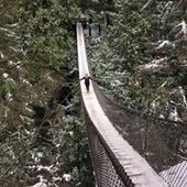 User avatar for Ellen Booth