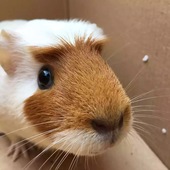 User avatar for Roger Zhang