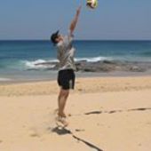 User avatar for David Cottam