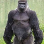 User avatar for Andrew White