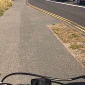 User avatar for Sammi King