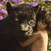 User avatar for Daniel Smith