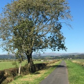 User avatar for Julie Brown