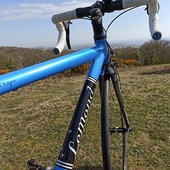 User avatar for Jitka O'Brien