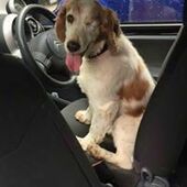 User avatar for Flick Carter