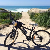 User avatar for Favel De Guia