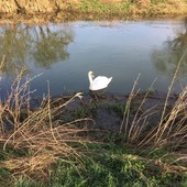 User avatar for Richard Dalling