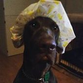 User avatar for Brenton Collas