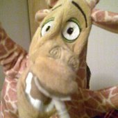 User avatar for Serenella Miller