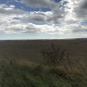 User avatar for Christine Wells