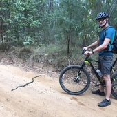 User avatar for Andre Schippers