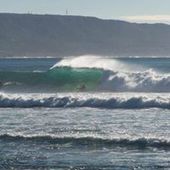 User avatar for Matt Turner