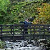 User avatar for Alastair Dann