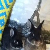 User avatar for Lea Chahoud