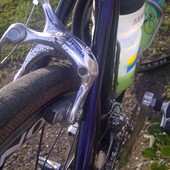 User avatar for Beth Bratt