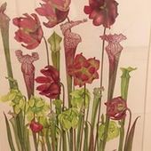 User avatar for Mary Osborn