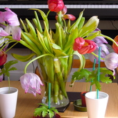 User avatar for Gerrard Murray