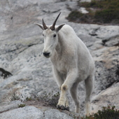 User avatar for Gary soliday